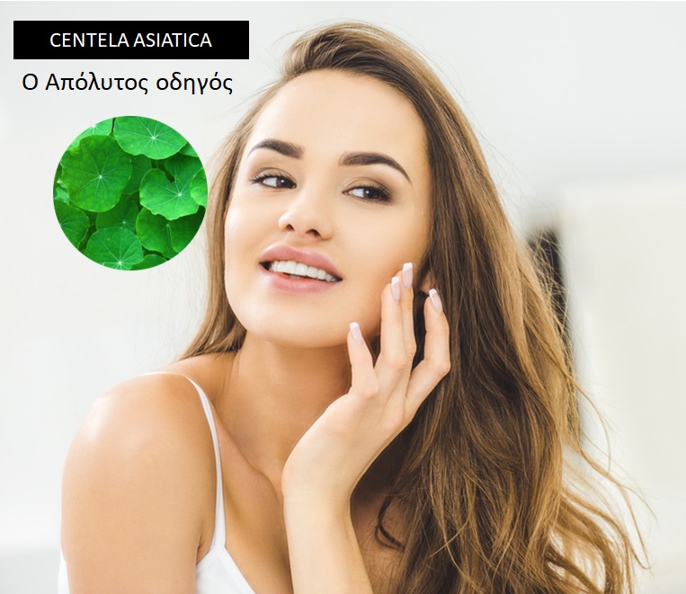 Σεντέλα Ασιατική (Centella Asiatica): Ο απόλυτος οδηγός